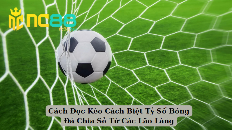 Cách Đọc Kèo Cách Biệt Tỷ Số Bóng Đá Chia Sẻ Từ Các Lão Làng