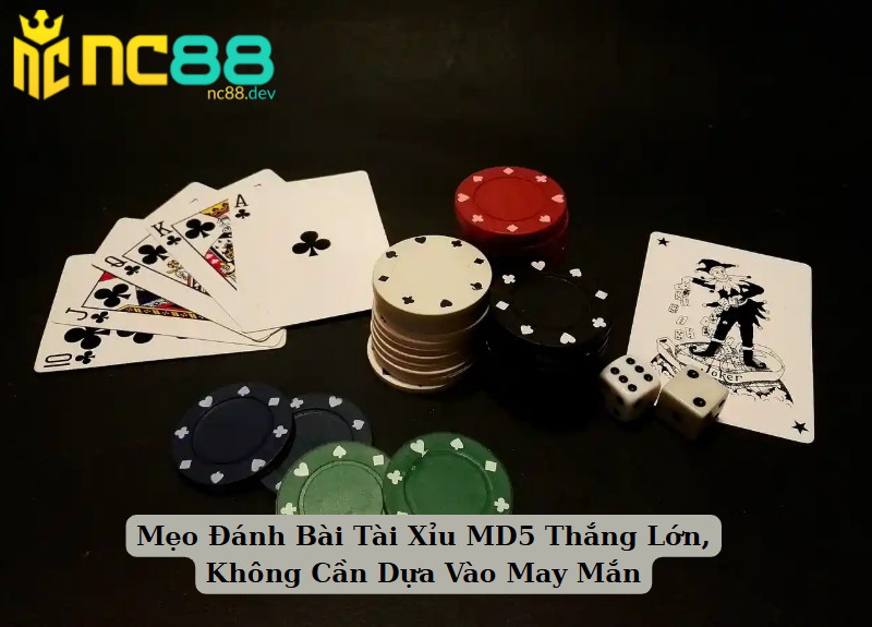 Mẹo Đánh Bài Tài Xỉu MD5 Thắng Lớn, Không Cần Dựa Vào May Mắn