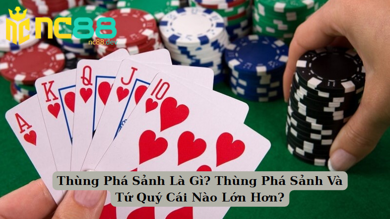 Thùng Phá Sảnh Là Gì? Thùng Phá Sảnh Và Tứ Quý Cái Nào Lớn Hơn?