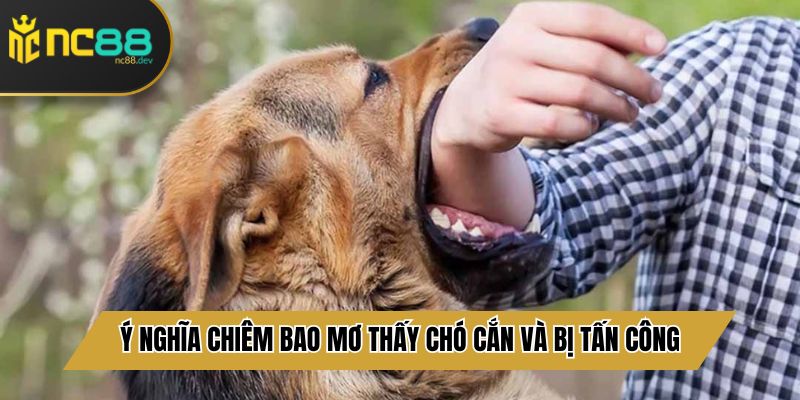 Ý nghĩa chiêm bao mơ thấy chó cắn và bị tấn công